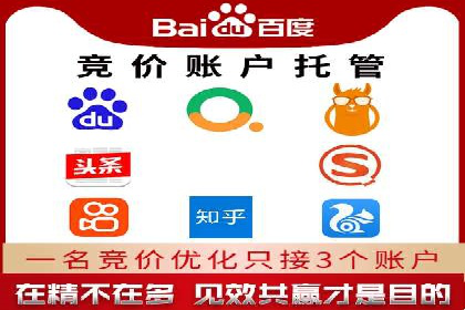 案例解析：SEM竞价策略优化技巧